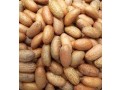 trans-agro-range-small-4