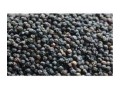 trans-agro-range-small-1