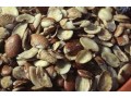 trans-agro-range-small-0