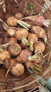 trans-agro-range-big-3