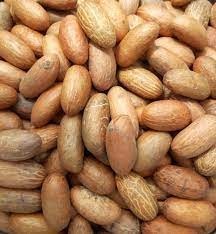 trans-agro-range-big-4