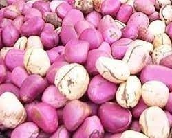 trans-agro-range-big-2