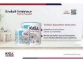 groupe-kasa-small-4