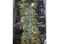 suppling-and-export-for-agriculture-small-1