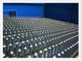 tuplast-egypt-sae-small-1