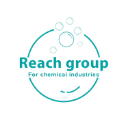 reach-group-big-0