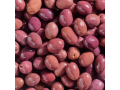 nile-gardens-small-4