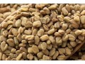 king-herbal-small-2