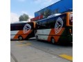 hashem-bus-small-2
