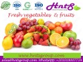 fresh-vege-small-0