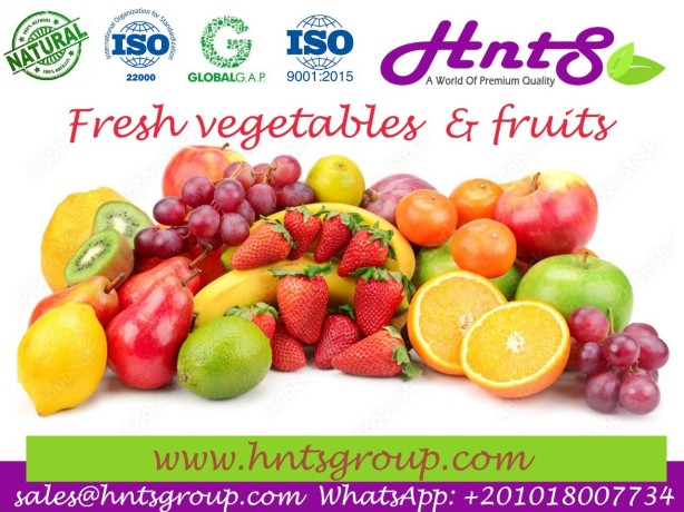 fresh-vege-big-0