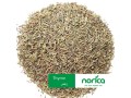 herbs-and-spices-small-0