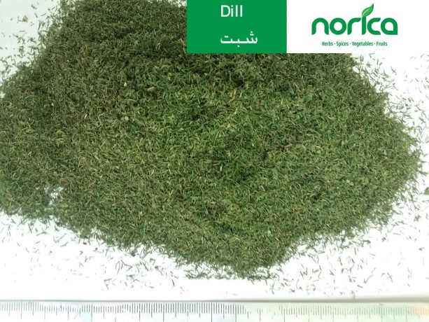 herbs-and-spices-big-3