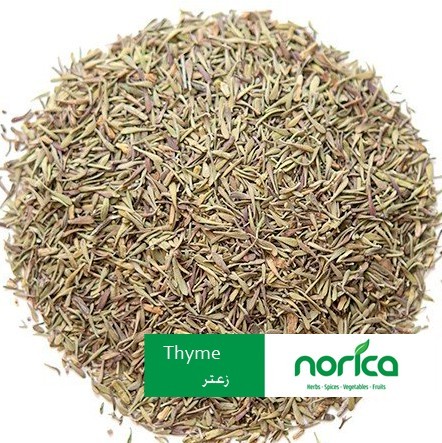 herbs-and-spices-big-0