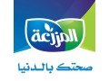 al-aseel-small-1