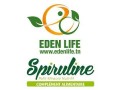 eden-life-small-0