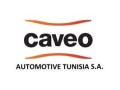 caveo-automotive-tunisie-small-0