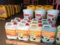 rochshield-paints-small-4