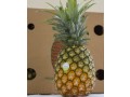 zahra-food-industries-small-1